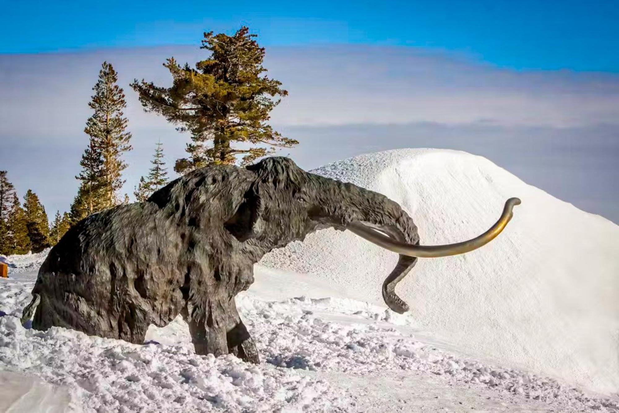 Апартаменты Eagle Run 107 Маммот Лейкс Экстерьер фото